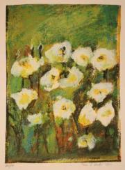 Artist Image 2